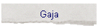 Gaja